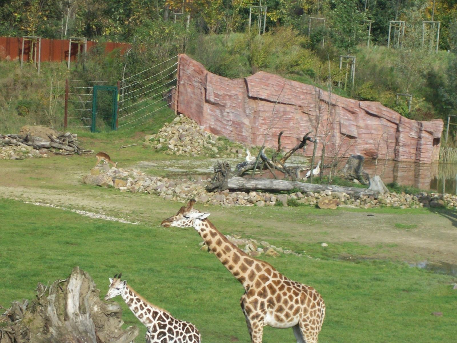 Zoom 18.10.2008-118.jpg